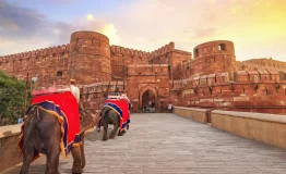 agra-fort-2