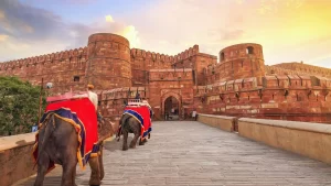 Royal Trails of Rajasthan: From the Taj to the Lakes
